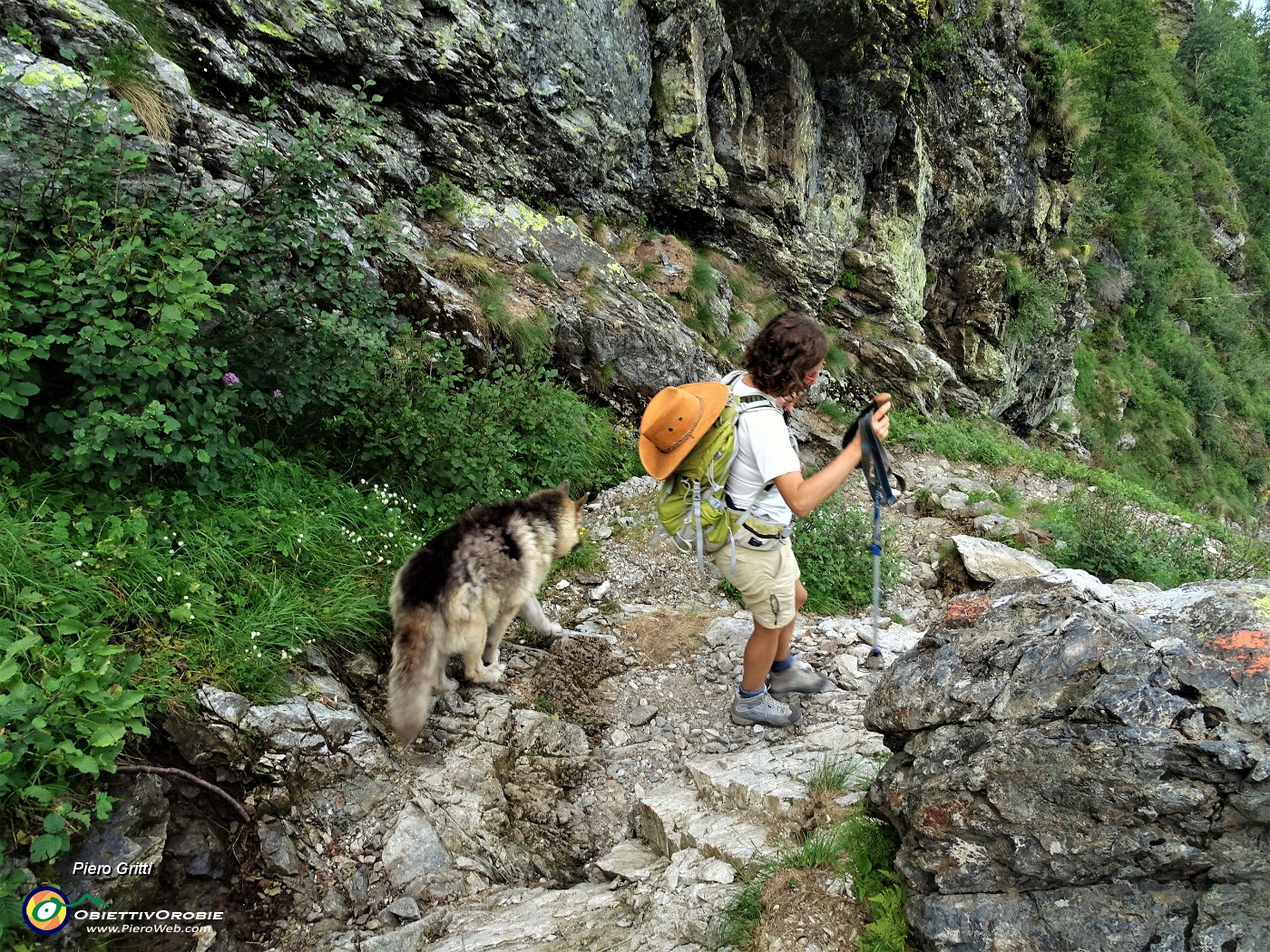 67 All'ombra finalmente in attenta discesa dal Passo del Forcellino nella valle di Bomino.JPG